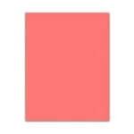 Cartulinas Iris Rosa Rosa claro 50 x 65 cm