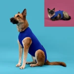 Camiseta de Recuperación para Mascotas KVP 35-43 cm Azul