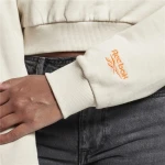 Sudadera con Capucha Mujer Reebok Classic Trail Beige