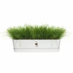 Jardinera Elho   Blanco 70 cm Plástico