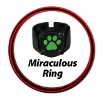 Disfraz para Niños Miraculous: Tales of Ladybug & Cat Noir Transformation Set - Cat Noir 4 Piezas Negro Multicolor