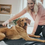 Cepillo escarpidor Hunter 51 x 37 x 33 cm