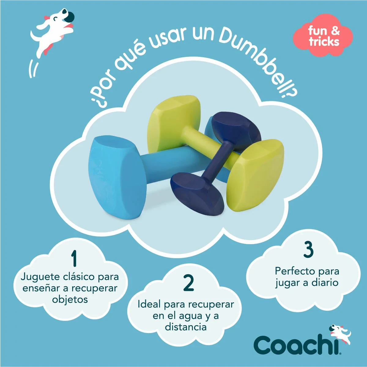Juguete de adiestramiento Coachi TRAINING DUMBBELL