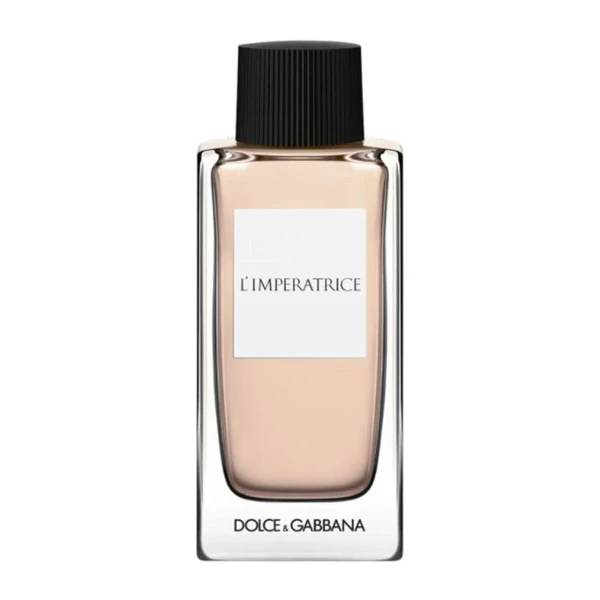 Perfume Unisex Dolce & Gabbana D&G ANTHOLOGY EDT 100 ml