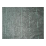 Malla antimaleza Nature Negro 100 g/m² 3,30 x 5 m