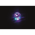 Bestway Luz Led Flotante Multicolor D18,5 cm Piscina y Jardin 58493