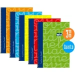 Cuaderno Lamela Multicolor Cuarto 5 Piezas 80 Hojas