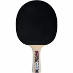 Raqueta de Ping Pong Schildkröt Legends 800