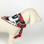 Set de Regalo de Bienvenida para Perros Minnie Mouse Rojo 28 x 30 x 6,8 cm 5 Piezas