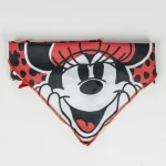 Set de Regalo de Bienvenida para Perros Minnie Mouse Rojo 28 x 30 x 6,8 cm 5 Piezas