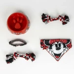 Set de Regalo de Bienvenida para Perros Minnie Mouse Rojo 28 x 30 x 6,8 cm 5 Piezas