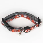 Set de Regalo de Bienvenida para Perros Minnie Mouse Rojo 28 x 30 x 6,8 cm 5 Piezas