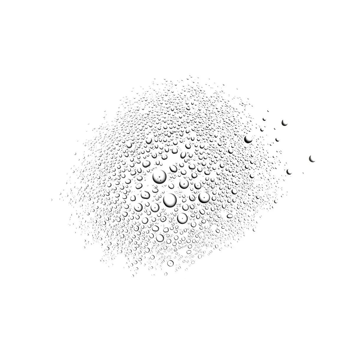 Tónico Facial Payot Les Démaquillantes 200 ml Bruma