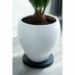 Soporte con Ruedas para Macetas Nature Negro Polipropileno (Ø 29,2 x 4 cm)