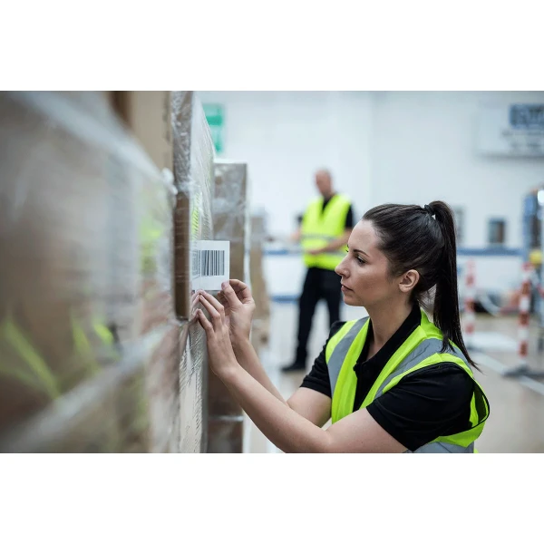 Papel para Imprimir Brother BDE1J000102102 Blanco (1 unidad)