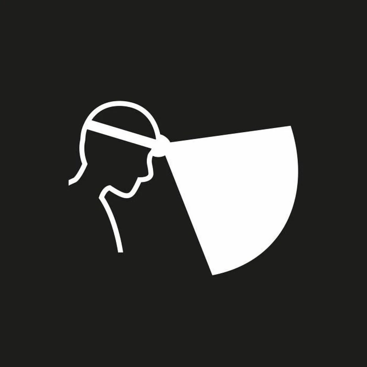 Linterna LED para la Cabeza Petzl E069BA00 Negro 450 lm (1 unidad)