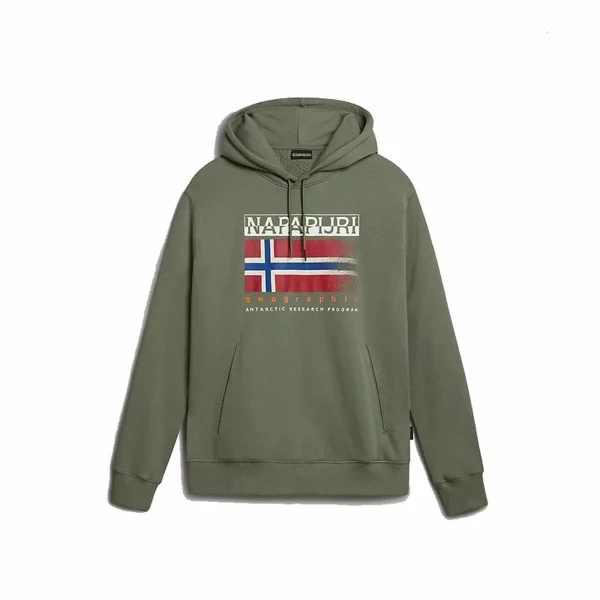 Sudadera con Capucha Niño Napapijri B-Kreis H Verde oscuro
