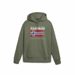 Sudadera con Capucha Niño Napapijri B-Kreis H Verde oscuro