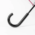 Paraguas Disney 60 cm Alicia