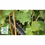 Cortasetos BOSCH 060084A300 36 V