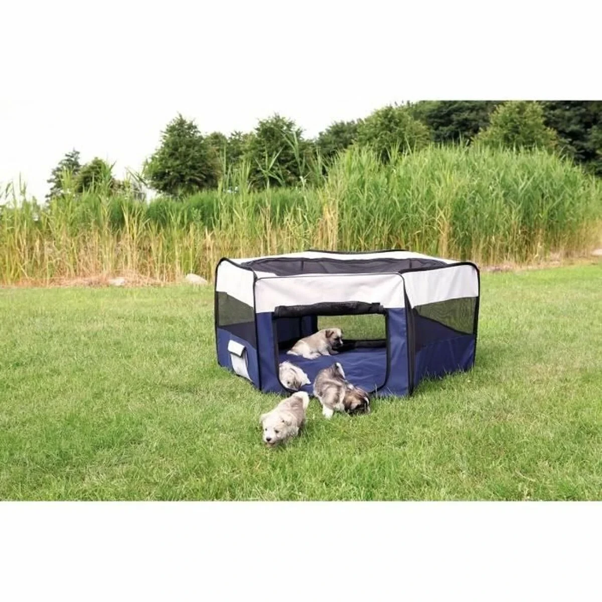 Parque de juegos Trixie