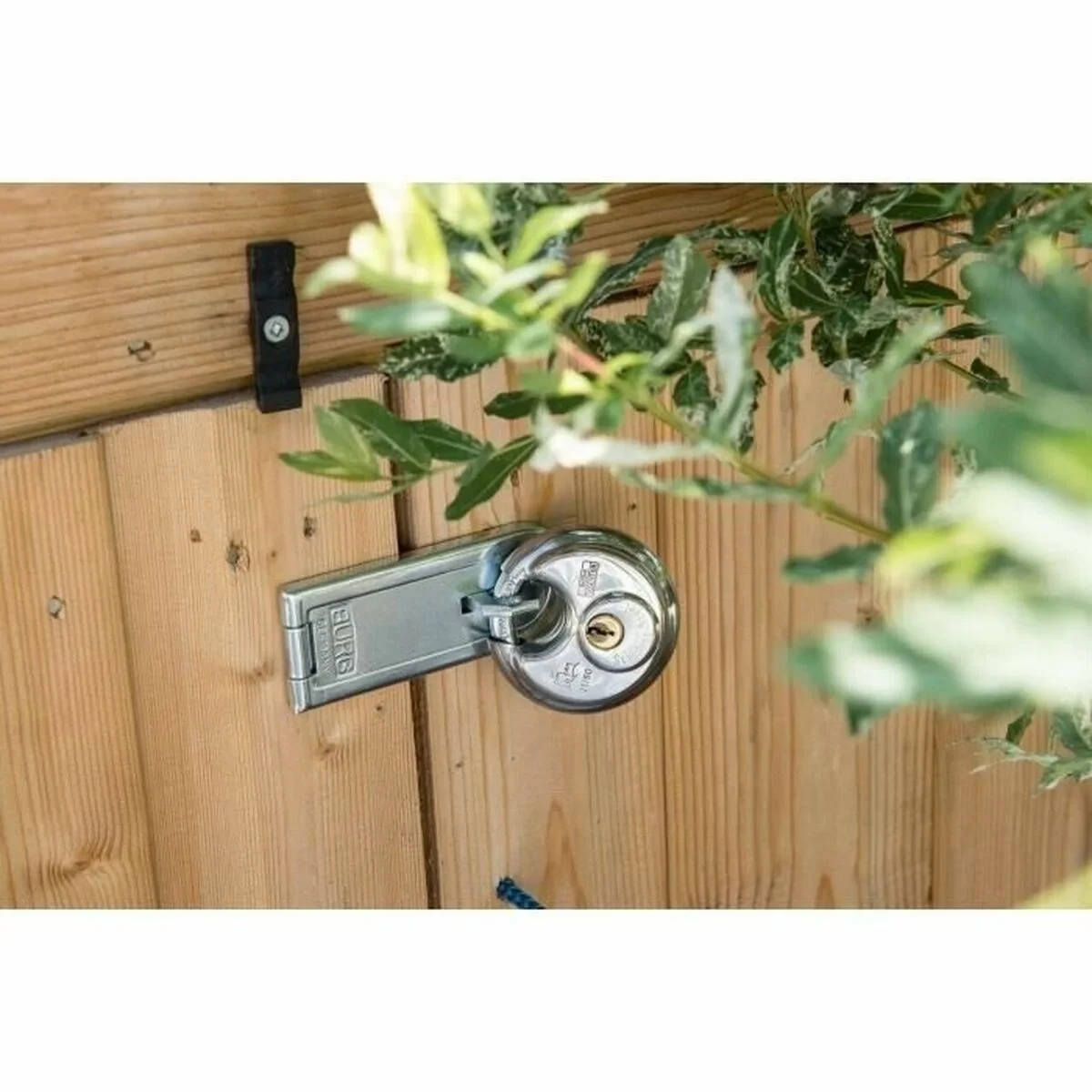 Candado de llave Burg-Wachter 21 70 SB Acero Inoxidable