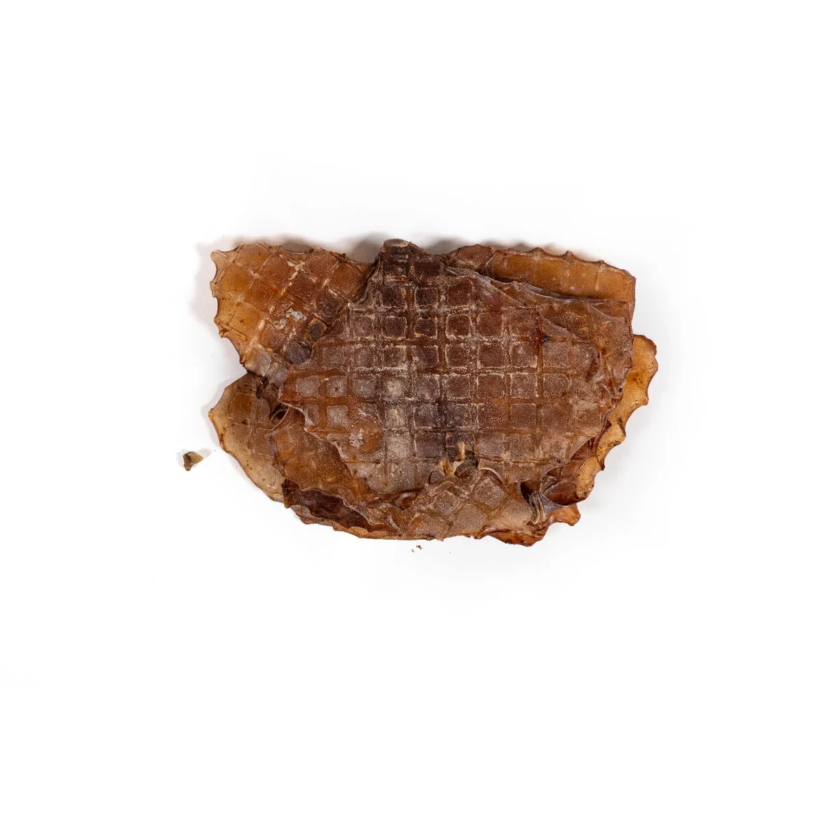 Comida húmeda Snackys Pescado