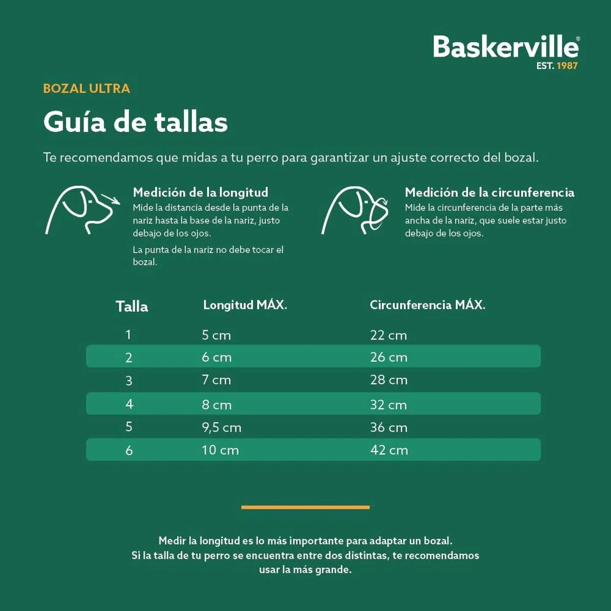 Bozal Company of Animals Negro 4