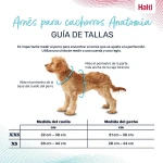 Arnés para Perro Company of Animals Gris XS 28-44 cm