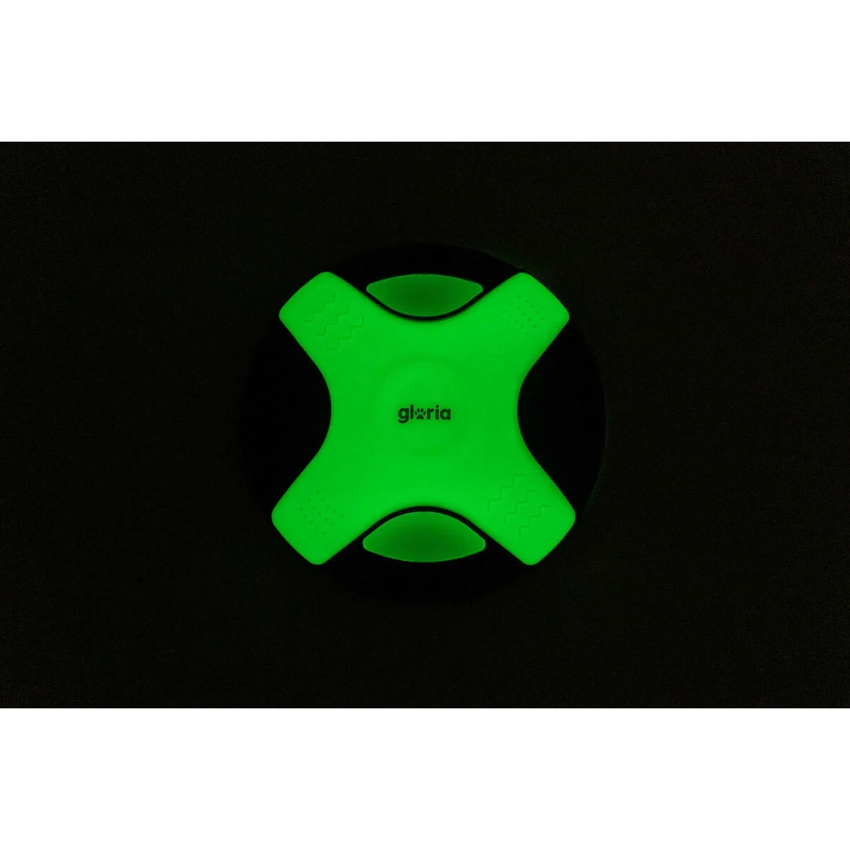 Frisbee Gloria Blanco TPR 25 cm