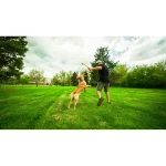 Lanzador de Pelotas para Perros Hunter Amarillo Naranja Goma Bola