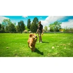 Lanzador de Pelotas para Perros Hunter Amarillo Naranja Goma Bola