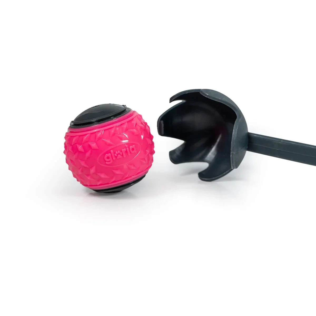 Lanzador de Pelotas para Perros Gloria Gris Polipropileno TPR M