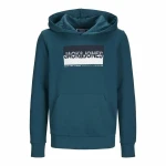Sudadera con Capucha Hombre Jack & Jones Jjnolan Azul