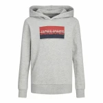 Sudadera con Capucha Hombre Jack & Jones Jjnolan Gris