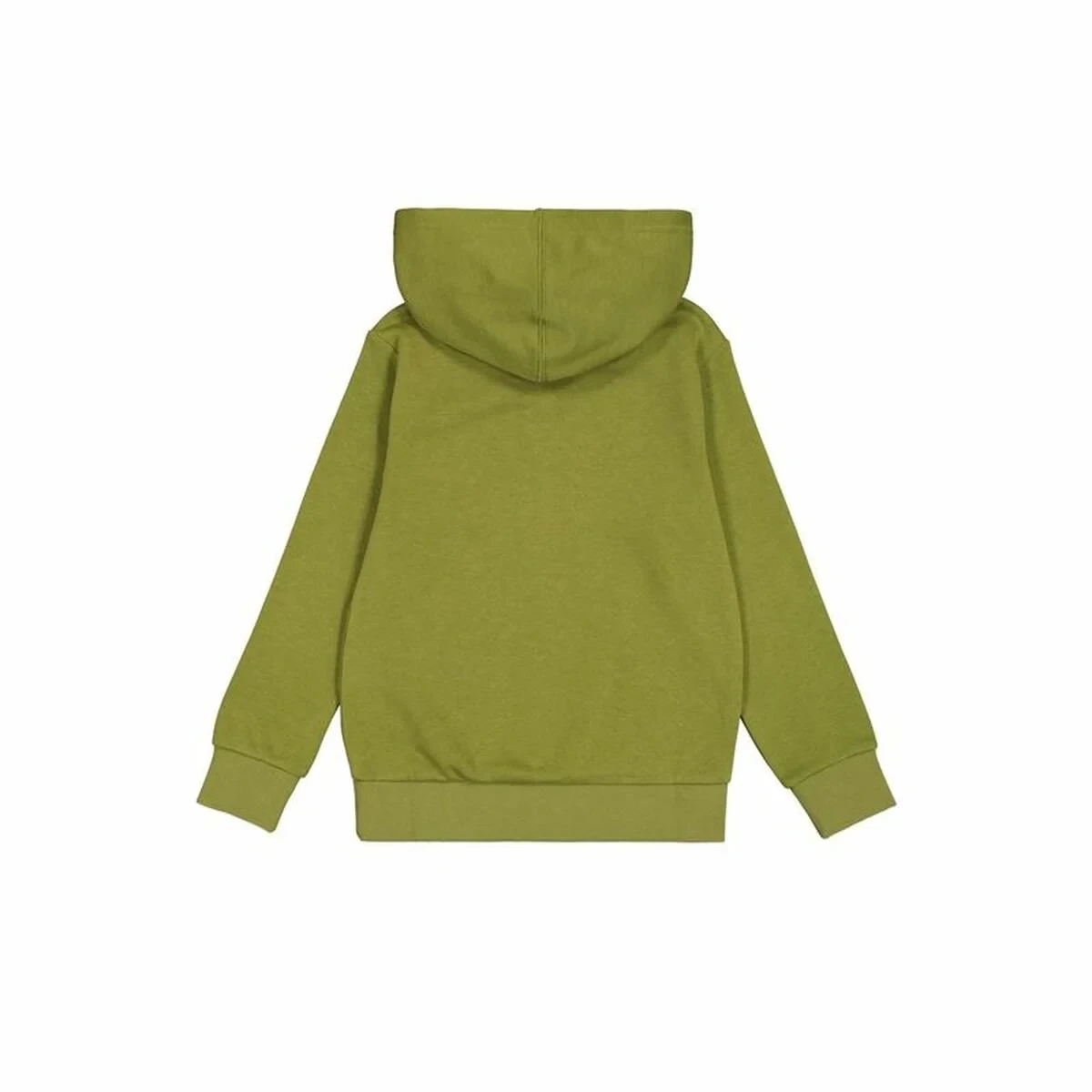 Sudadera con Capucha Hombre Champion Verde