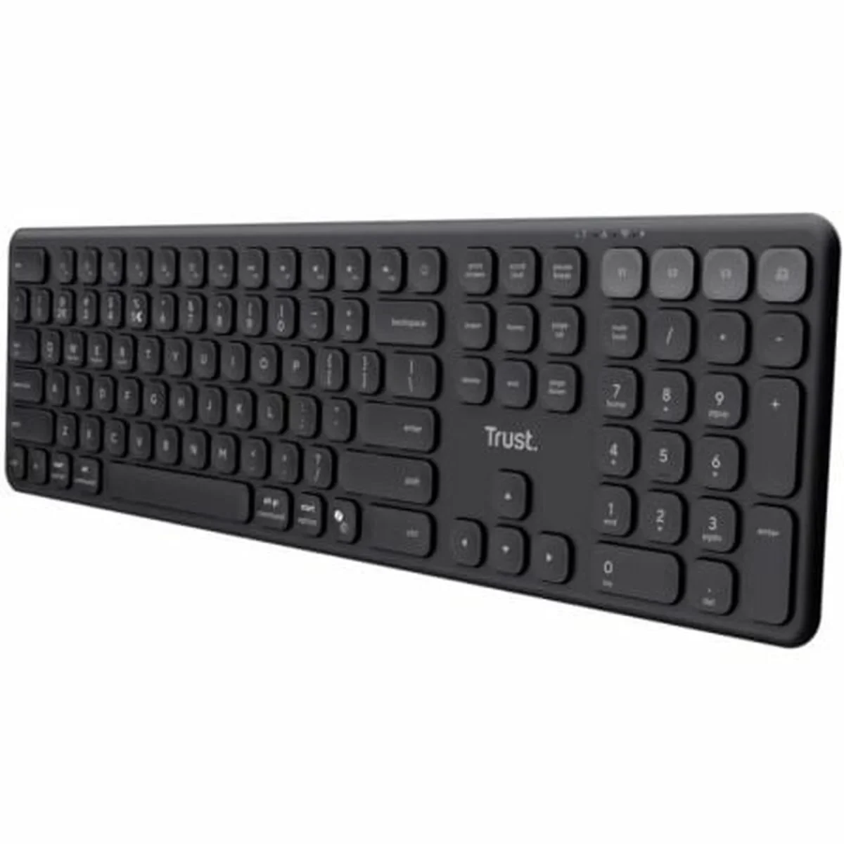 Teclado numérico Trust 25635 Negro