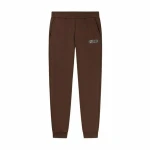 Pantalón de Chándal para Adultos Puma Essentials+ Graphic Fl Hombre Hombre