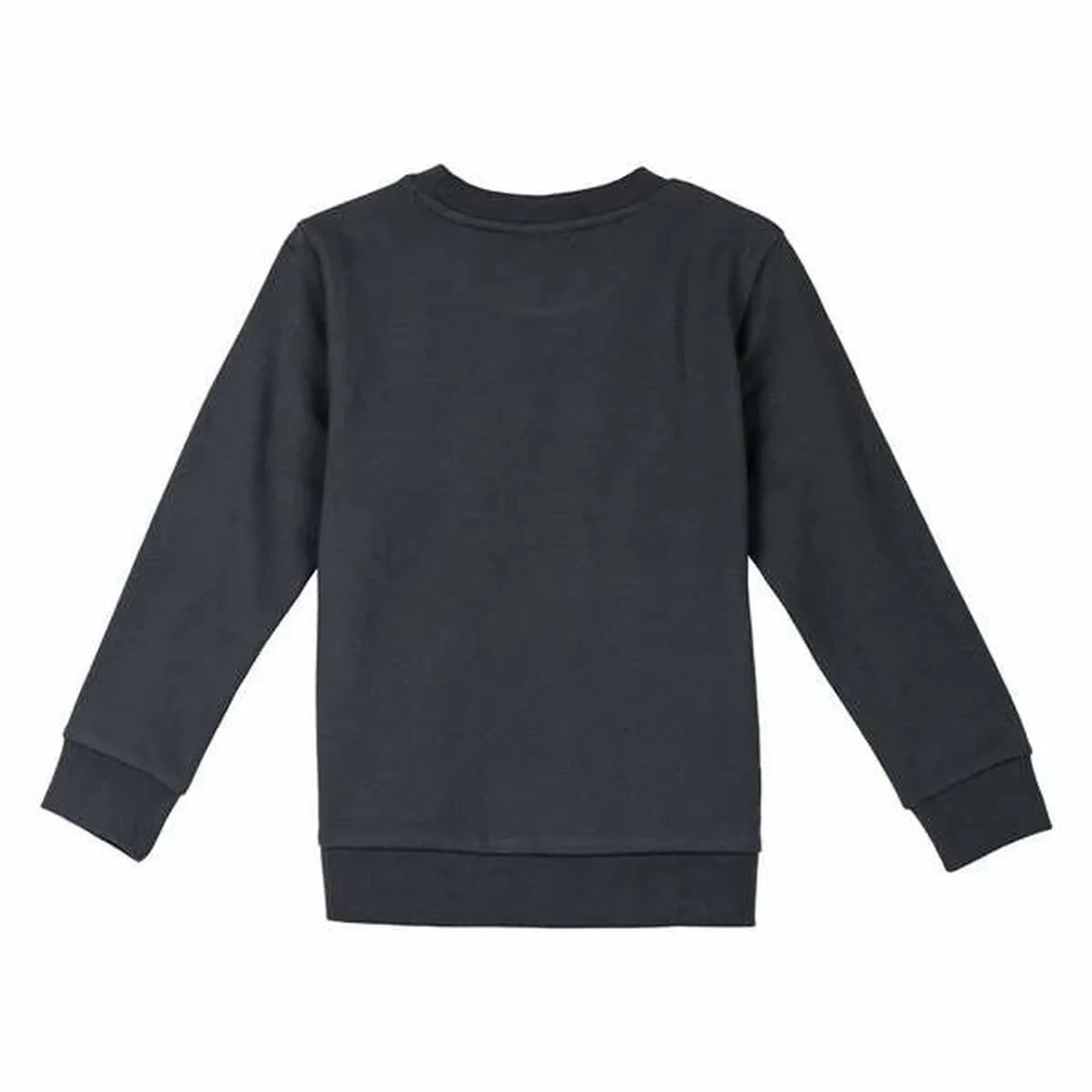 Sudadera Infantil The Lion King Gris oscuro
