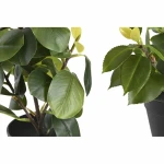 Planta Decorativa DKD Home Decor Verde PP PE Ficus (2 Unidades) (21 x 18 x 30 cm)