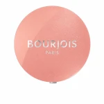 Sombra de ojos Little Round Bourjois