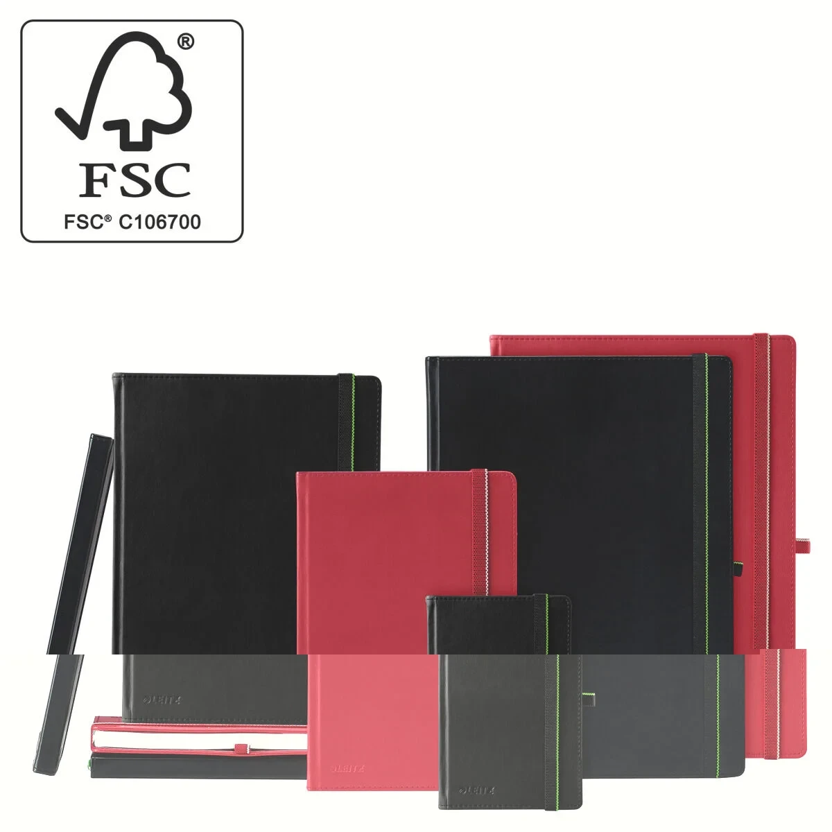 Plastificadora Leitz Negro A4