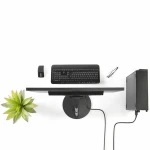 Adaptador DisplayPort a DVI Startech DP2DVI2MM6           (1,8 m) Negro 1.8 m