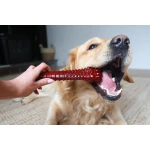 Hueso Nylabone Marrón Bacon XL