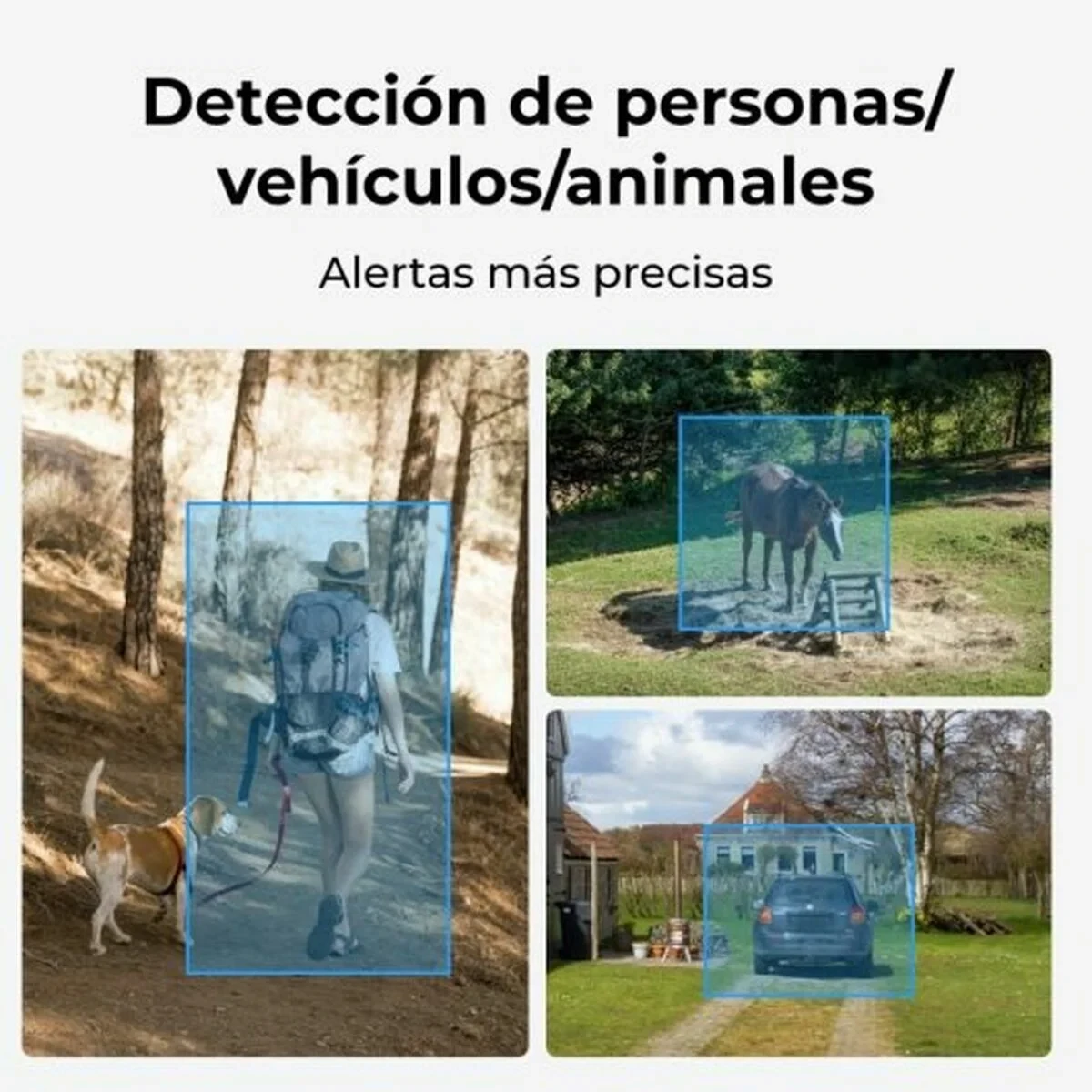 Videocámara de Vigilancia Reolink