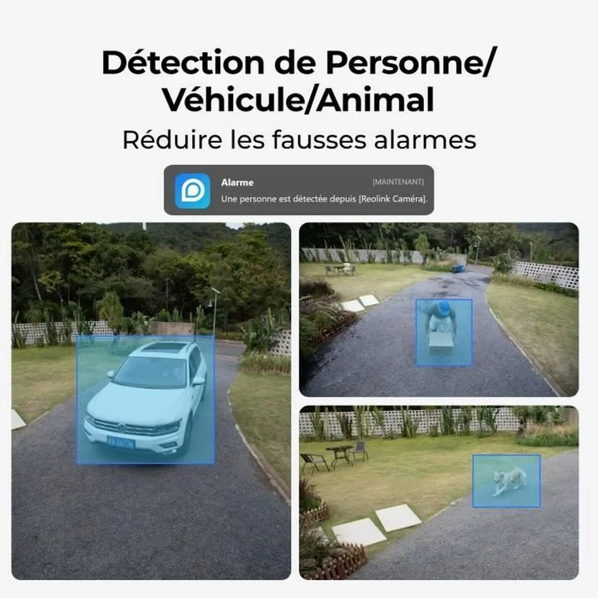 Videocámara de Vigilancia Reolink