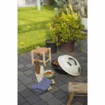 Barbacoa Portátil Livoo Ø 34 cm