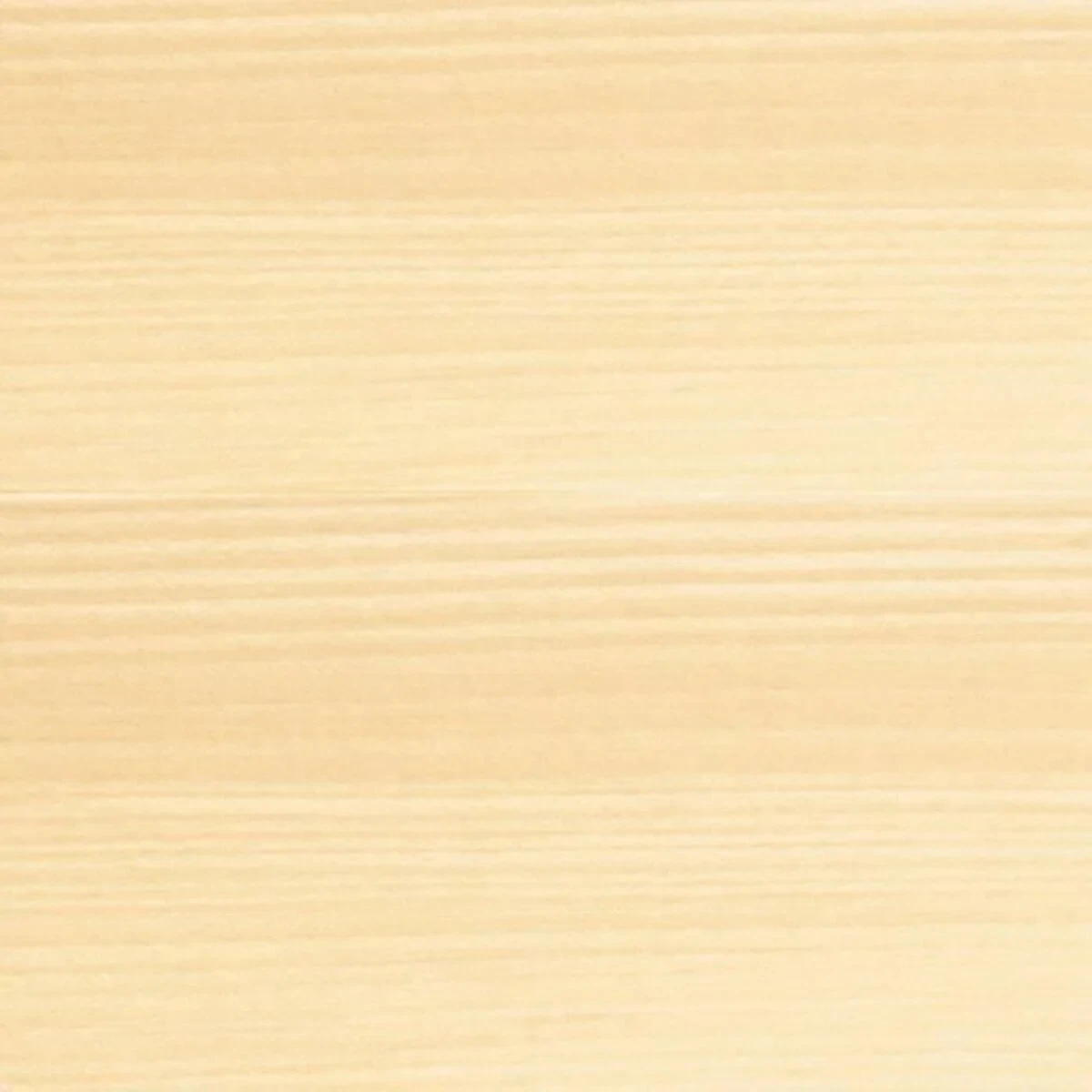 Pintura de Imprimación Bondex Blanco Satinado 5 L