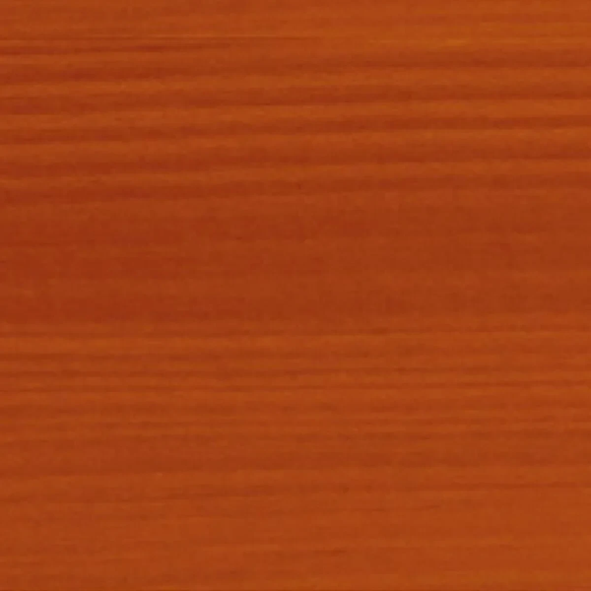 Pintura de Imprimación Bondex Mate 5 L