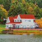 Pintura de Imprimación Bondex Gris Satinado 5 L